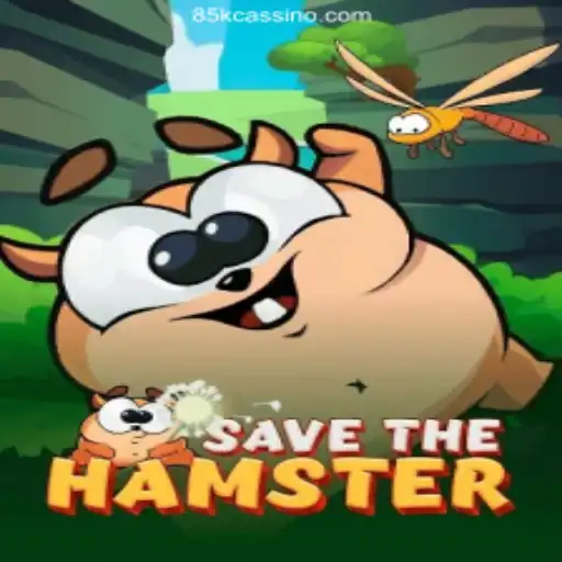 Exploring SavetheHamster: A Unique Journey into Brazilian Online Gaming